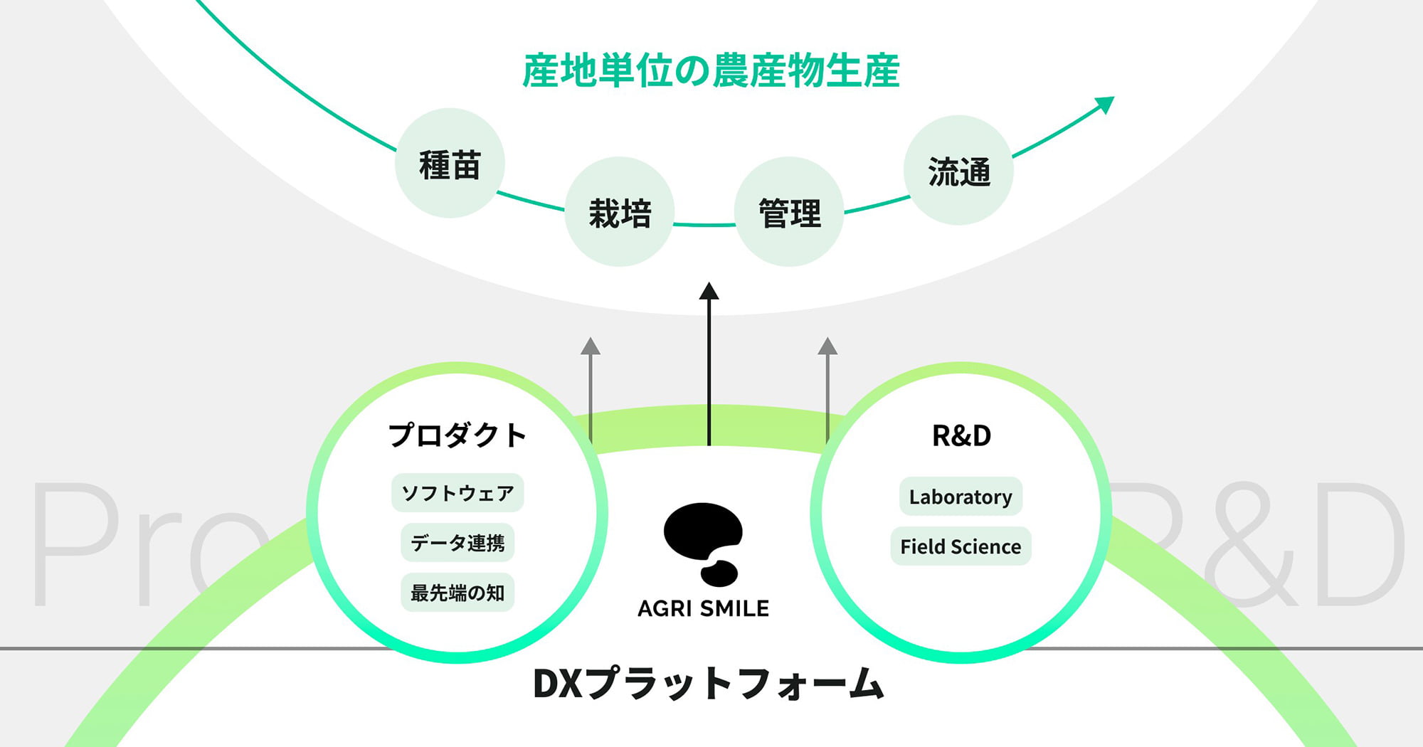 THE SEEDの投資先のひとつ、株式会社AGRI SMILEの事業領域