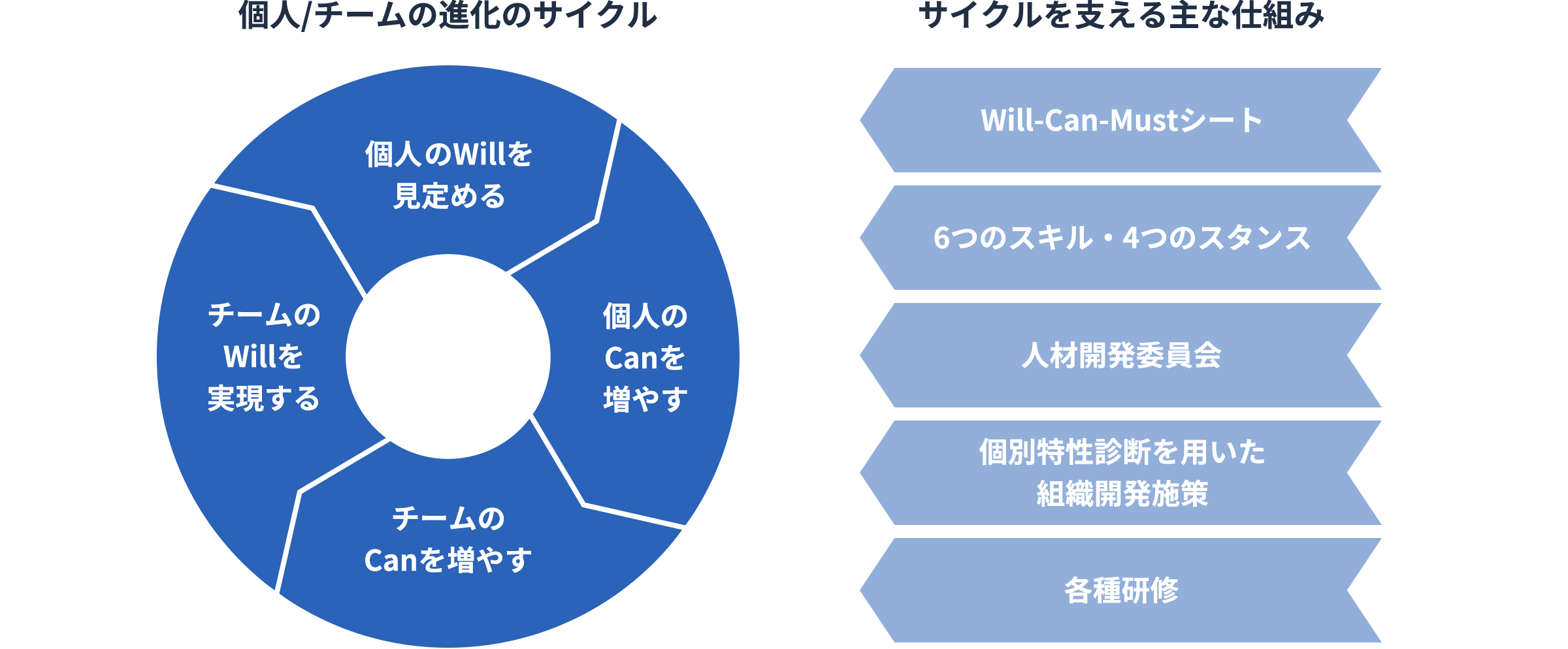 個人のWillを見定め、個人のCanを増やすことで、チームのCanを増やすことに繋がり、結果としてチームのWillが実現する。これを個人／チームの進化のサイクルと定義しています。サイクルを支える仕組みとして、Will-Can-Mustシート、6つのスキル・4つのスタンス、人材開発委員会、個別特性診断を用いた組織開発施策、各種研修を設けています。