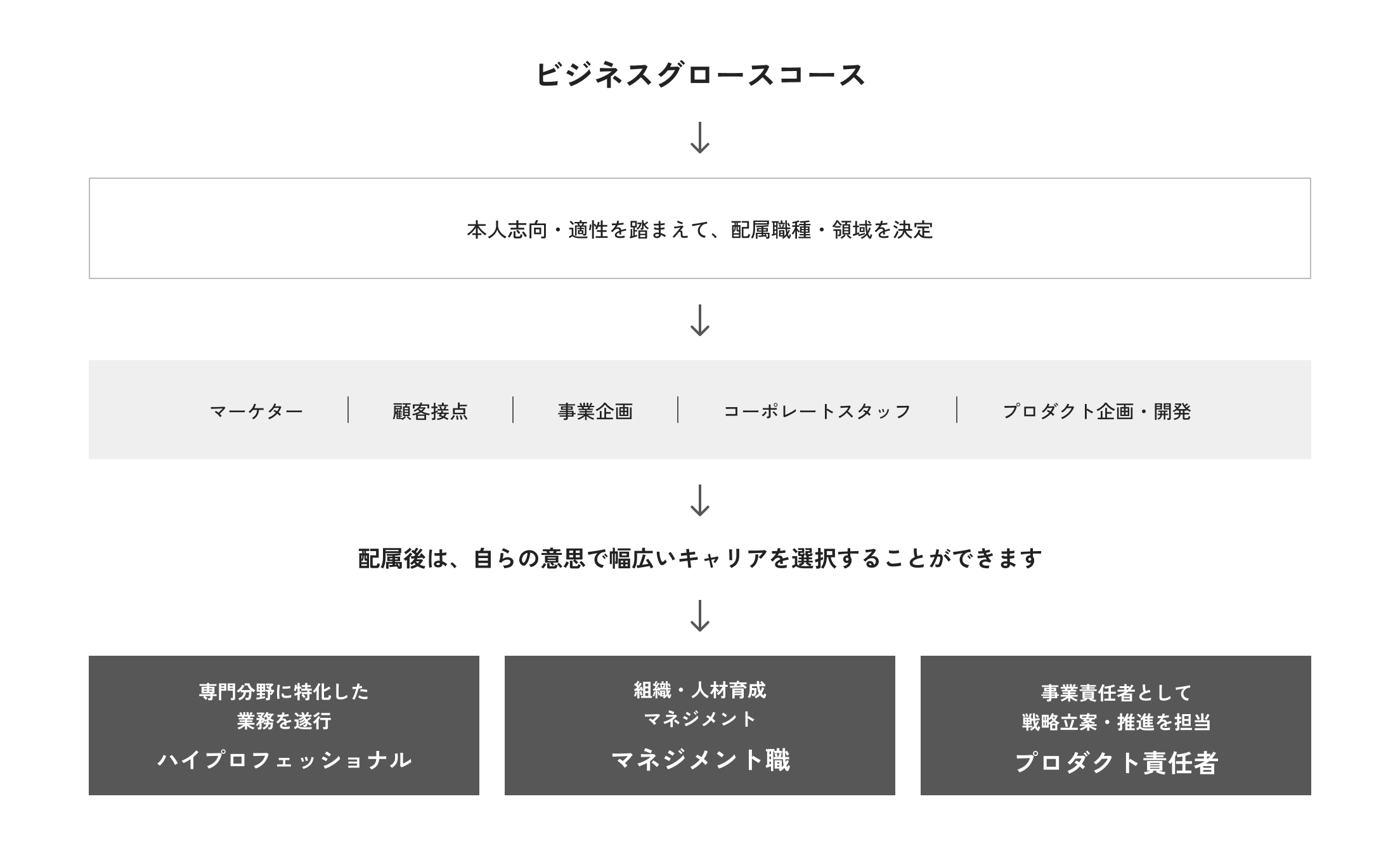 ビジネスグロースコース→本人志向・適性を踏まえて、配属職種・領域を決定→マーケター、顧客接点、事業企画、コーポレートスタッフ、プロダクト企画・開発など→配属後は、自らの意思で幅広いキャリアを選択することができます→専門分野に特化した業務を遂行/ハイプロフェッショナル、組織・人材育成マネジメント/マネジメント職、事業責任者として戦略立案・推進を担当/プロダクト責任者