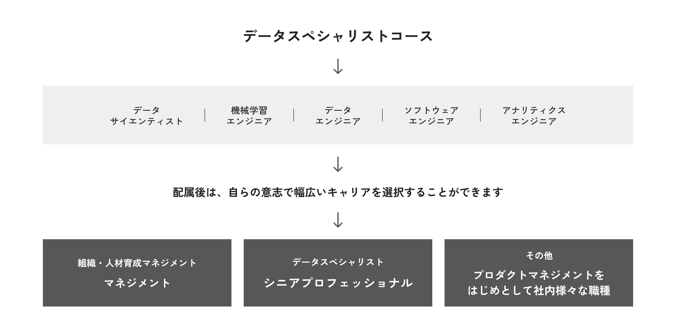 入社後:データサイエンティスト、機械学習エンジニア、データエンジニア、ソフトウェアエンジニア、アナリティクスエンジニアなどの職種に配属。配属後は自らの意思で幅広いキャリアを選択することができます。その後は、組織・人材育成マネジメントを担うマネジメント職や、データスペシャリストとしての職種専門性を深めるシニアプロフェッショナル、プロダクトマネジメントをはじめとした社内様々な職種などキャリアの選択肢があります
