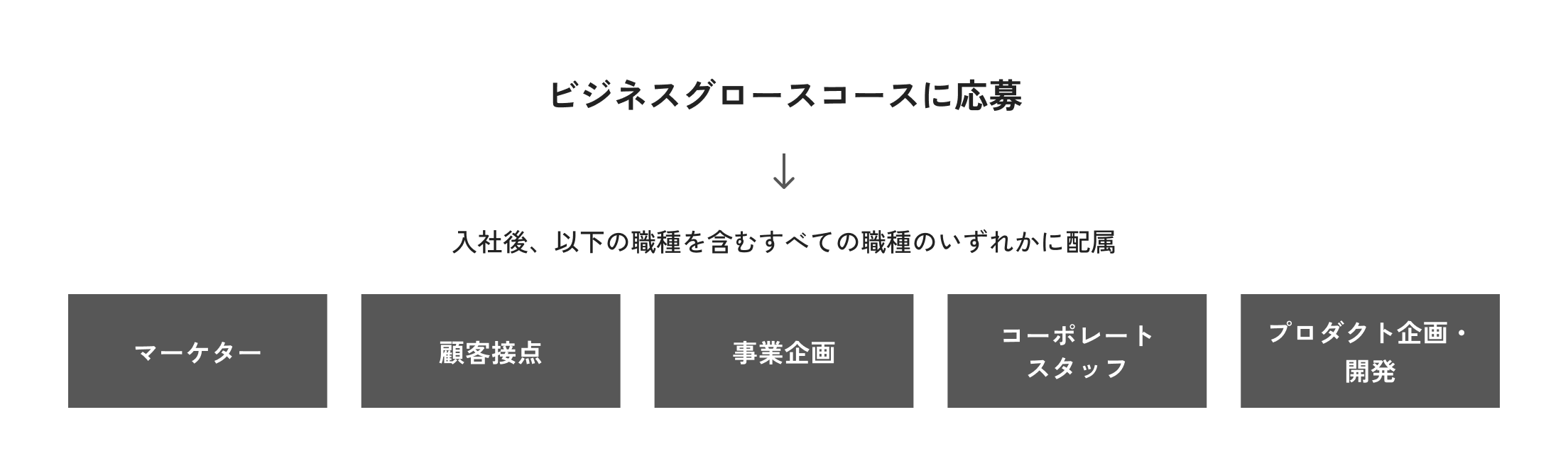 ビジネスグロースコースに応募。入社後、以下の職種を含むすべての職種のいずれかに配属。マーケター、顧客接点、事業企画、コーポレートスタッフ、プロダクト企画・開発