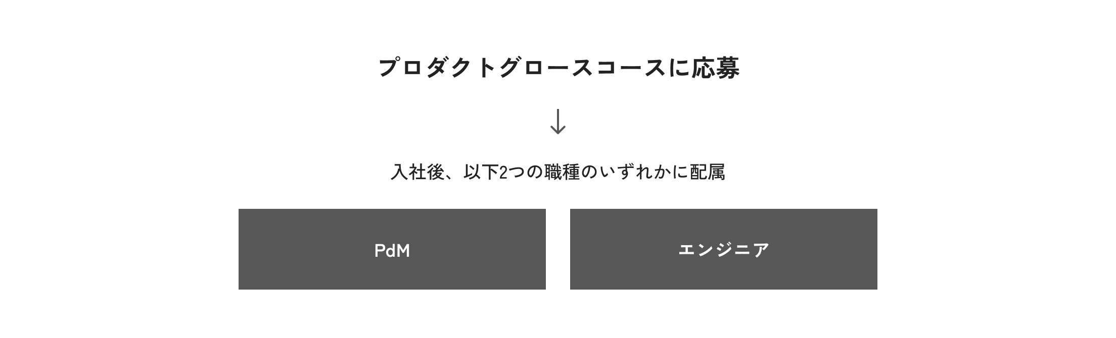 プロダクトグロースコースに応募。入社後、以下の2つの職種のいずれかに配属。PdM、エンジニア