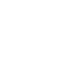 STEP03
