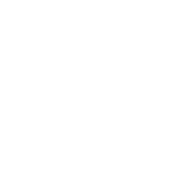 STEP04