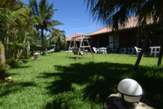 jalanOkinawa_img2