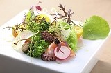 jalan_kyushu_img2