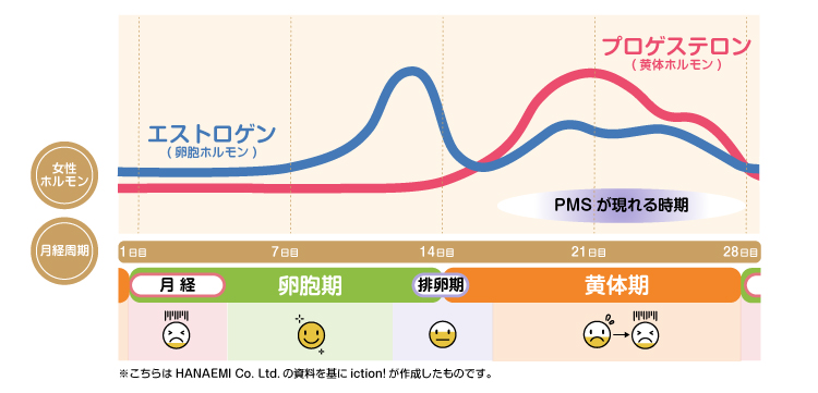 女性ホルモンの分泌の変化と生理周期